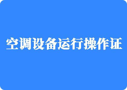 日日本老女人逼制冷工证